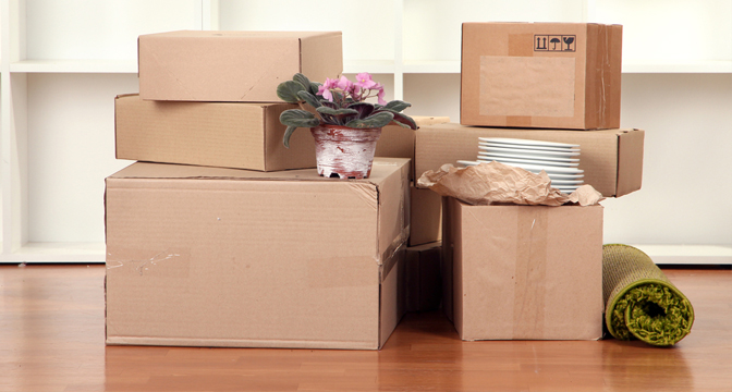 Unison Relocation packers and Movers